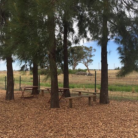 מלון דובו Aussie Cabins מראה חיצוני תמונה