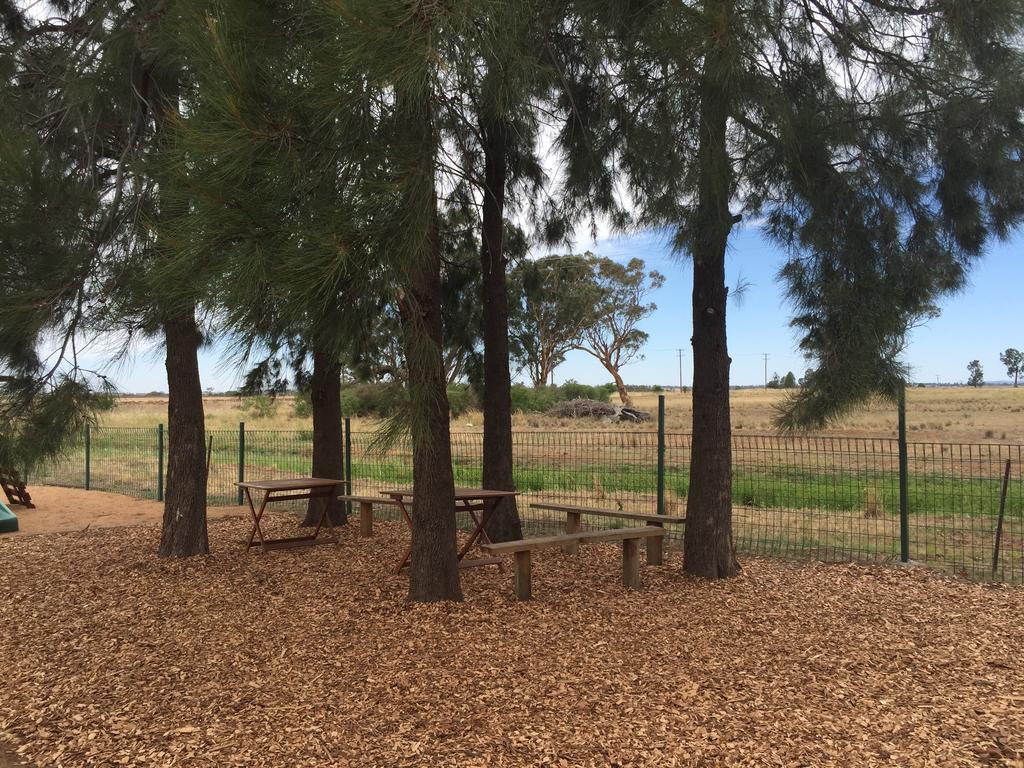 מלון דובו Aussie Cabins מראה חיצוני תמונה